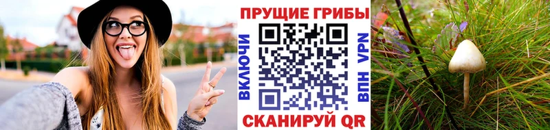 наркотики  Устюжна  Галлюциногенные грибы Magic Shrooms 